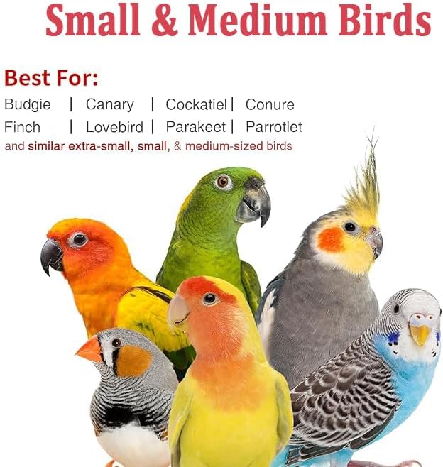 Small Bird Travel Carrier, Portable Bird Travel Carrier for Parakeet, Parrot, Budgie, Guinea Pig, Bearded Dragon Reptile Carrier for Hiking Vet Visit Bicycle Ride (Blue)